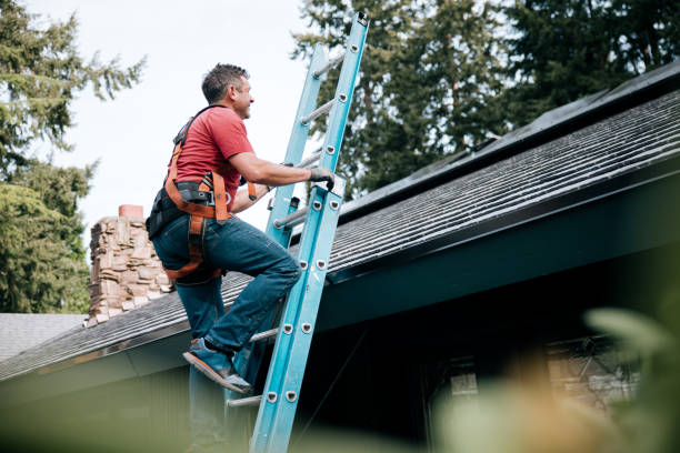 Best Roof Moss and Algae Removal  in Manson, IA