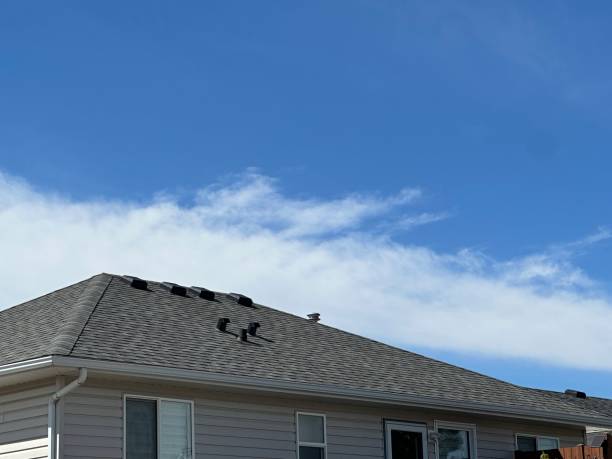 Best Solar Panel Roofing Installation  in Manson, IA